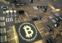 Do Bitcoins Dedicated Servers Work? Bitcoins